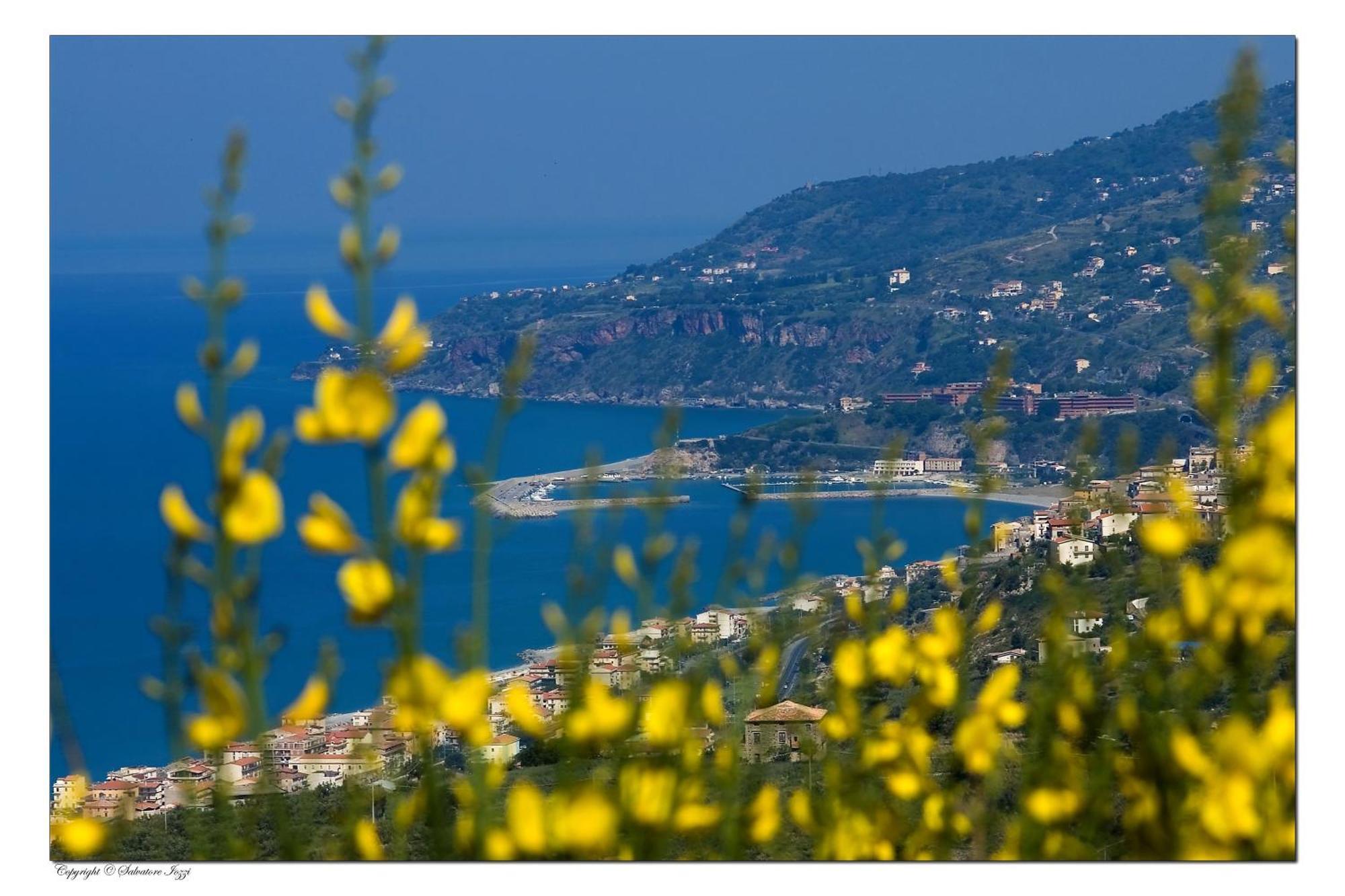 Hotel La Carruba Cetraro Dış mekan fotoğraf