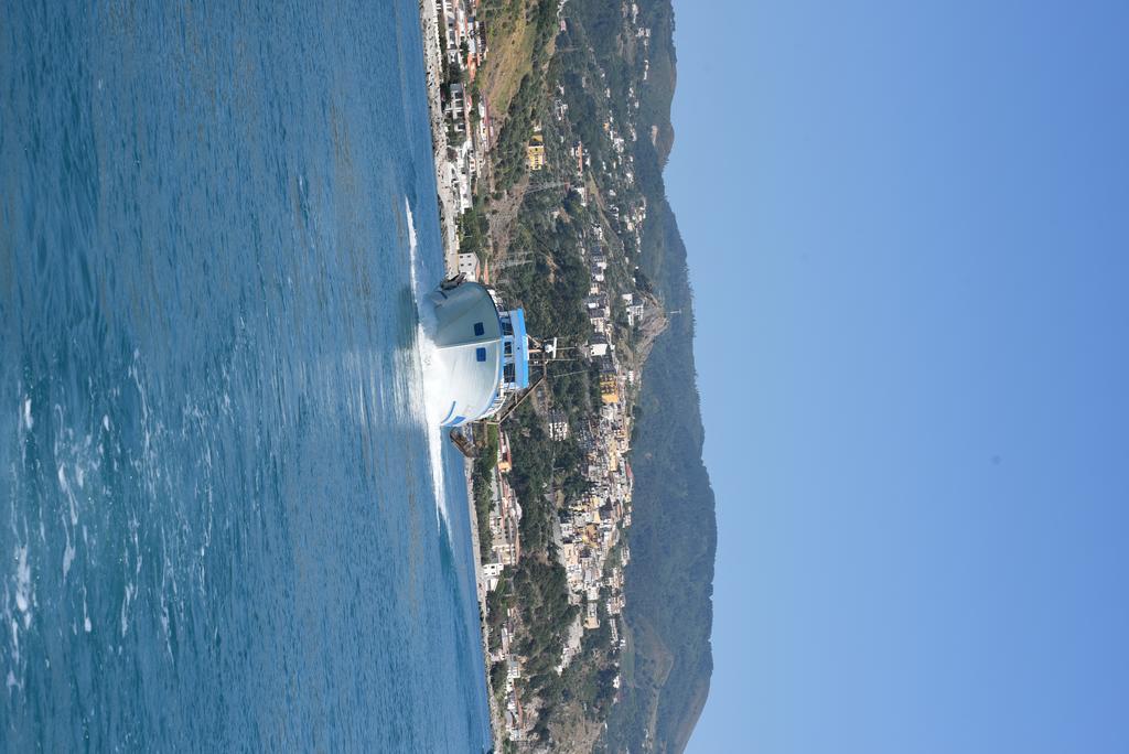 Hotel La Carruba Cetraro Dış mekan fotoğraf